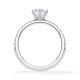 Hollywood Ring Radiant Platin Rubin 1886